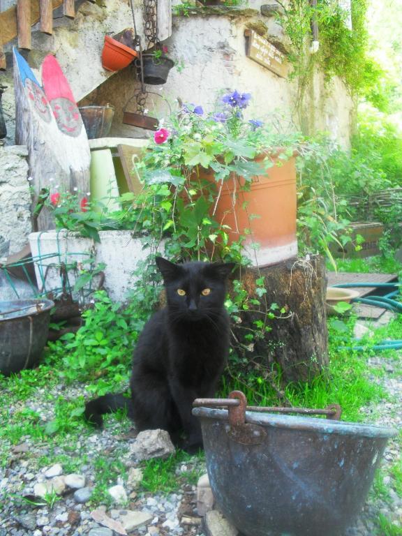 B&B Il Gatto Nero Castelveccana Eksteriør billede
